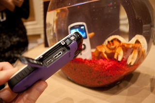 Illustration for article titled Kodak Waterproof Playsport Hands On: It Might Be the New Pocket Cam to Buy